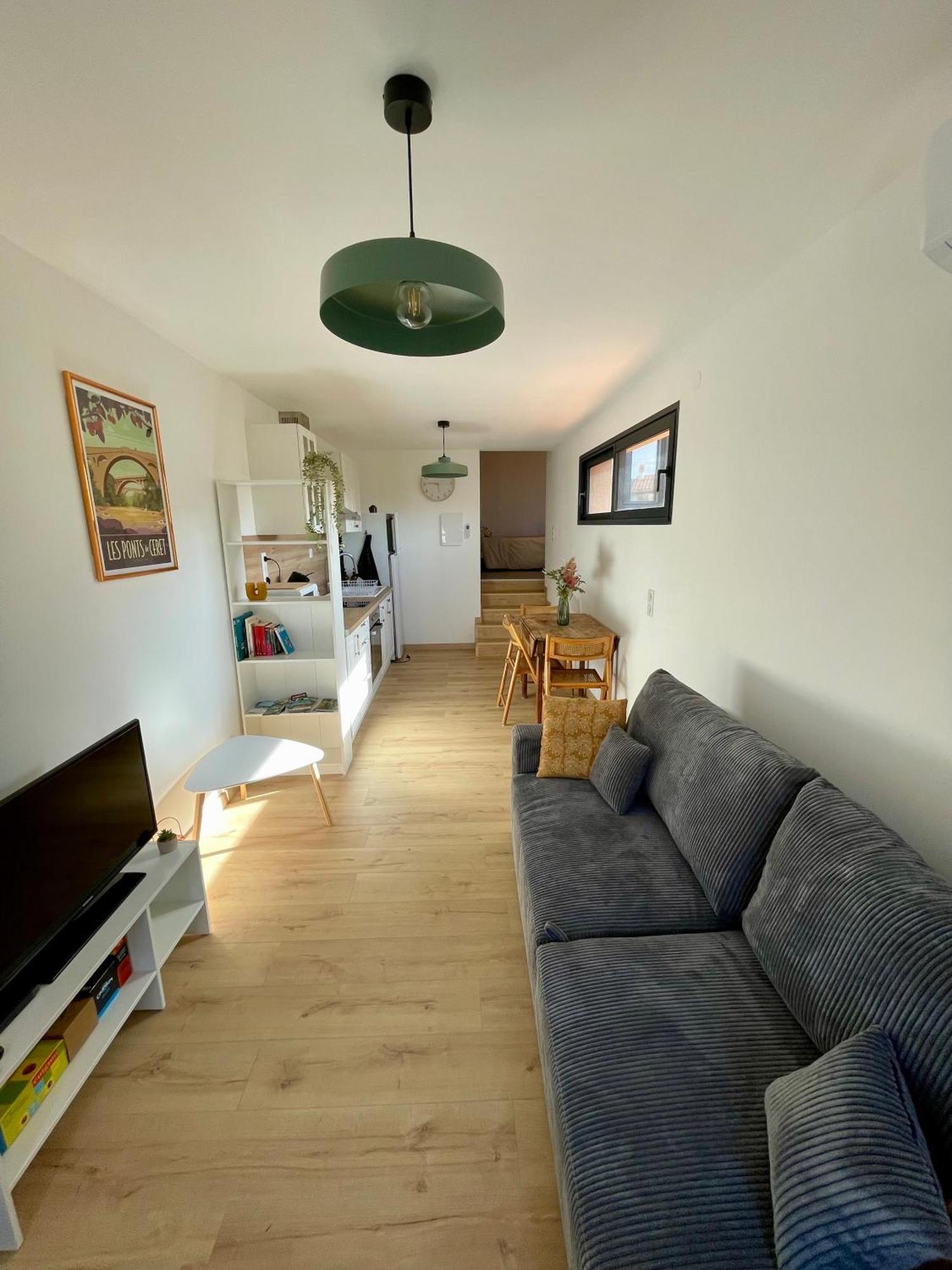 Bel Appartement A Céret Buitenkant foto